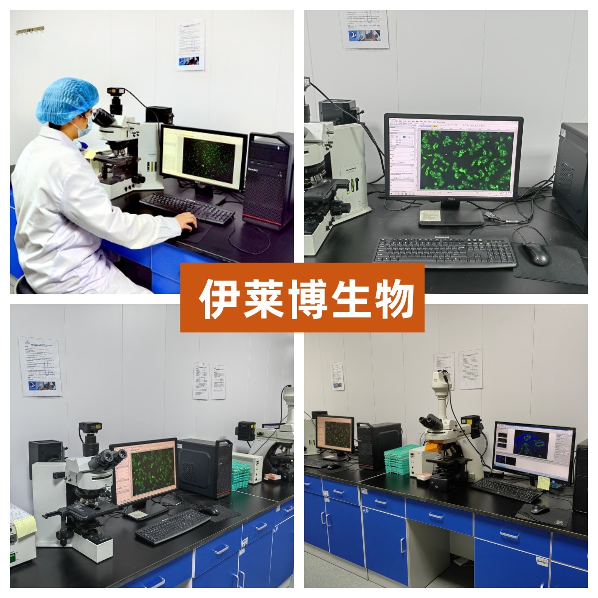 合集2.jpg